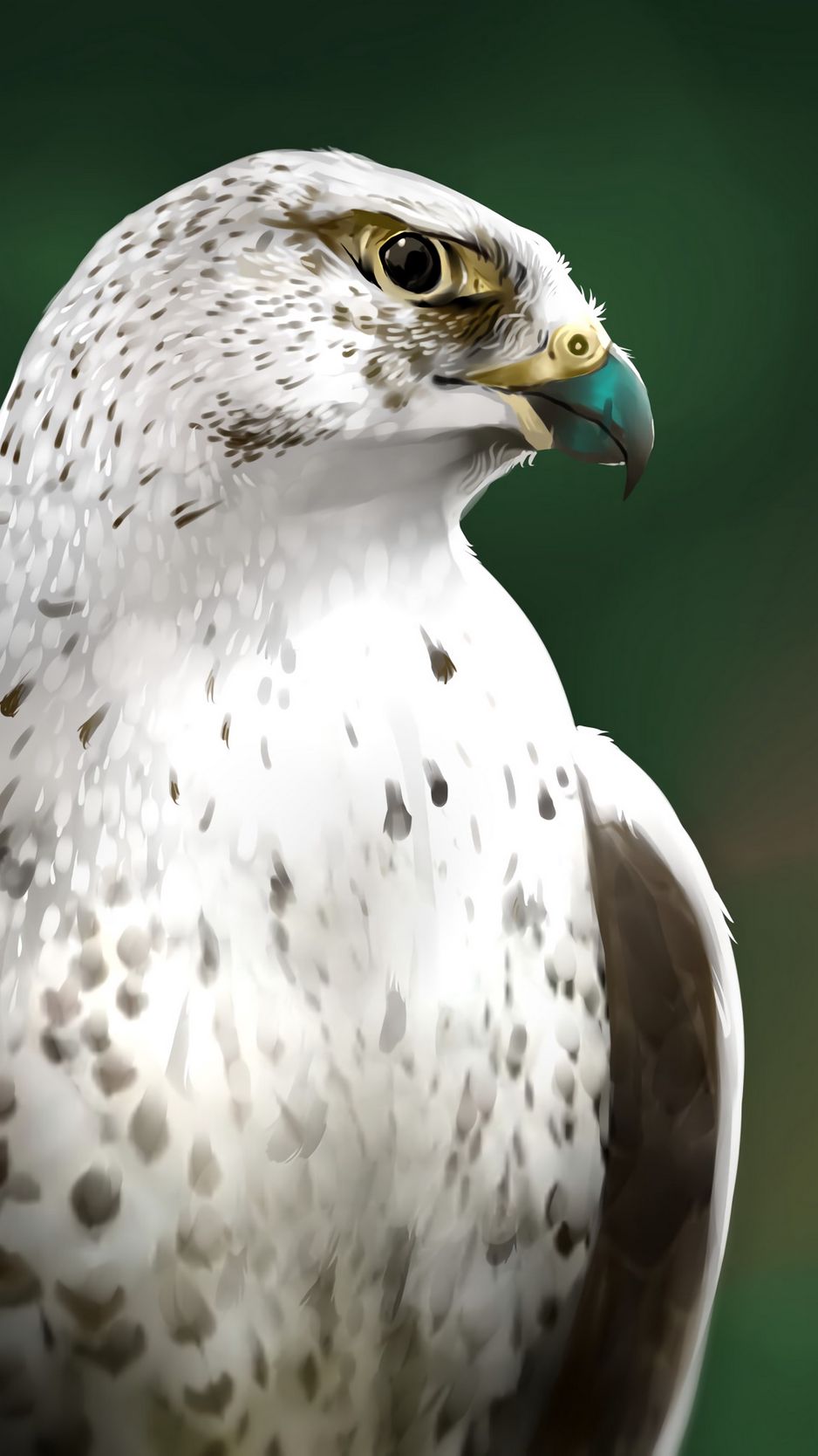 Download Wallpaper 938x1668 Falcon Bird Glance Art Iphone 8 7 6s 6 For Parallax Hd Background