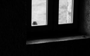 Preview wallpaper falcon, bird, window, sad, black and white
