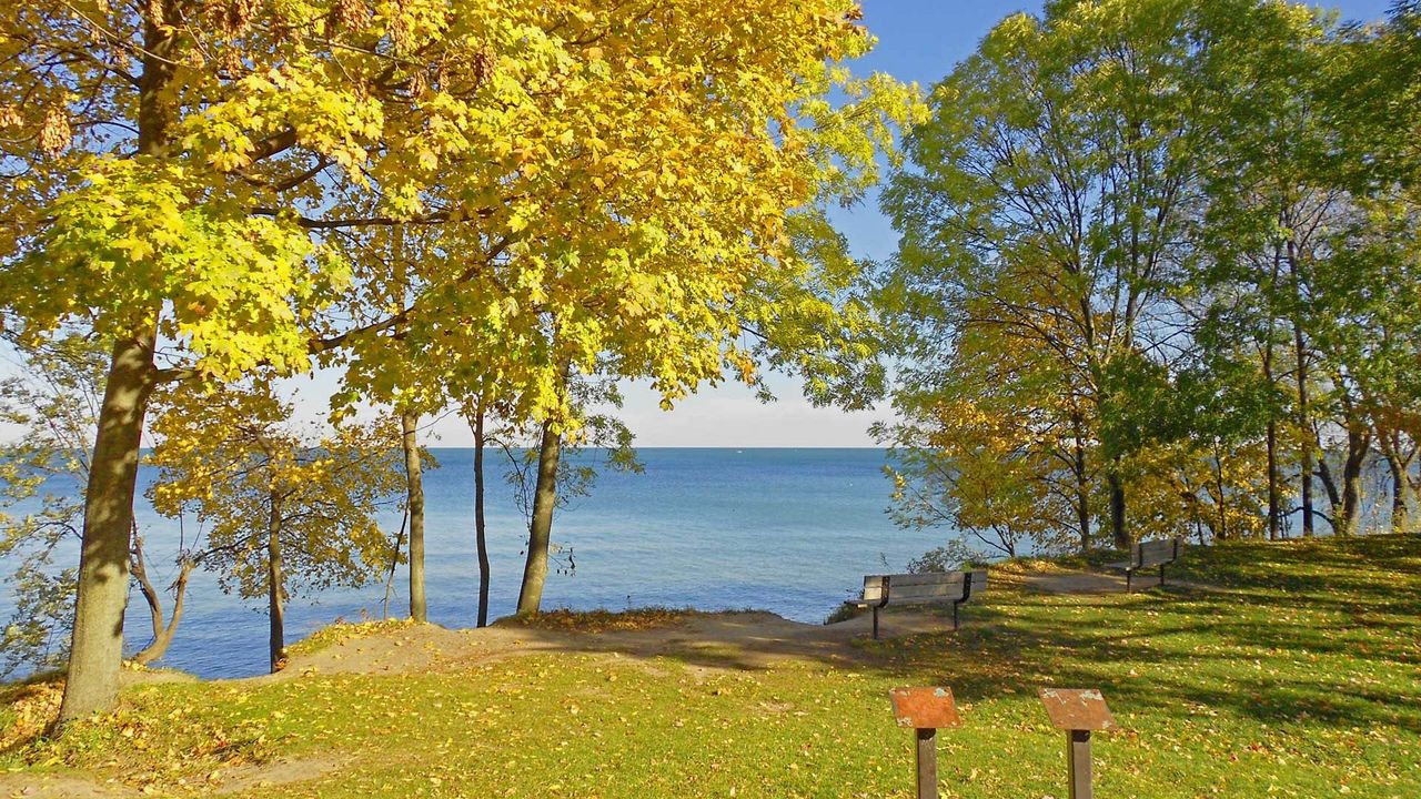 Wallpaper fall, canadian shore, meadow, benches, landscape