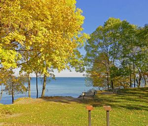 Preview wallpaper fall, canadian shore, meadow, benches, landscape