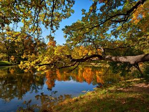 Preview wallpaper fall, pond, trees, landscape