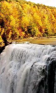 Preview wallpaper fall, waterfall, forest, nature
