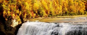 Preview wallpaper fall, waterfall, forest, nature