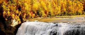 Preview wallpaper fall, waterfall, forest, nature