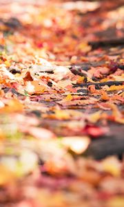 Preview wallpaper fallen foliage, leaves, autumn, blur, macro