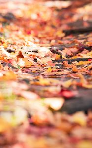 Preview wallpaper fallen foliage, leaves, autumn, blur, macro