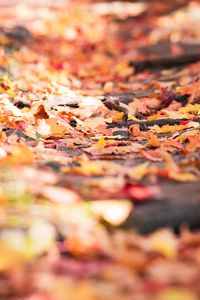 Preview wallpaper fallen foliage, leaves, autumn, blur, macro