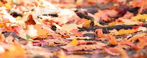 Preview wallpaper fallen foliage, leaves, autumn, blur, macro