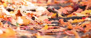 Preview wallpaper fallen foliage, leaves, autumn, blur, macro