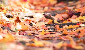 Preview wallpaper fallen foliage, leaves, autumn, blur, macro