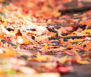 Preview wallpaper fallen foliage, leaves, autumn, blur, macro