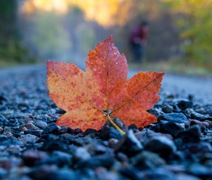 Preview wallpaper fallen leaf, leaf, stones, autumn, macro