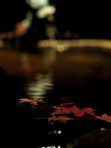 Preview wallpaper fallen leaves, autumn, water, leaves