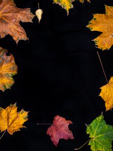 Preview wallpaper fallen leaves, leaves, autumn, macro, colorful