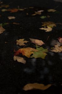 Preview wallpaper fallen leaves, leaves, puddle, autumn