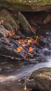 Preview wallpaper fallen leaves, water, river, stones, nature