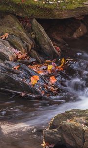 Preview wallpaper fallen leaves, water, river, stones, nature