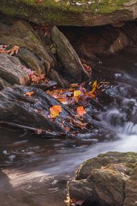 Preview wallpaper fallen leaves, water, river, stones, nature