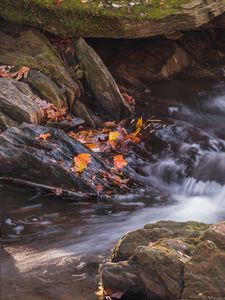 Preview wallpaper fallen leaves, water, river, stones, nature