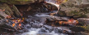 Preview wallpaper fallen leaves, water, river, stones, nature