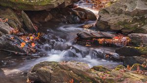 Preview wallpaper fallen leaves, water, river, stones, nature