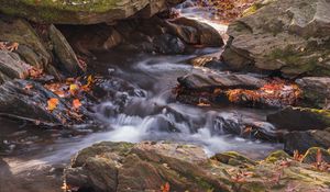 Preview wallpaper fallen leaves, water, river, stones, nature