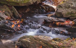 Preview wallpaper fallen leaves, water, river, stones, nature