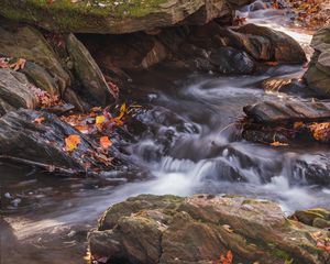 Preview wallpaper fallen leaves, water, river, stones, nature