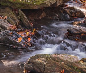 Preview wallpaper fallen leaves, water, river, stones, nature