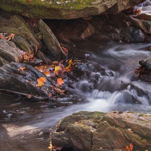 Preview wallpaper fallen leaves, water, river, stones, nature