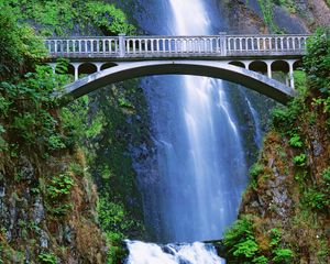 Preview wallpaper falls, bridge, rocks, vegetation, leaves, humidity, landscape