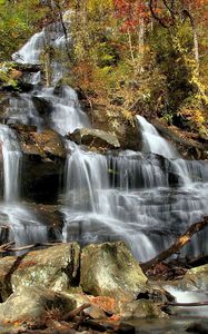 Preview wallpaper falls, cascades, wood, leaves, trees, stones