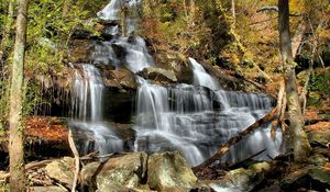 Preview wallpaper falls, cascades, wood, leaves, trees, stones