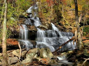 Preview wallpaper falls, cascades, wood, leaves, trees, stones