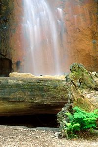 Preview wallpaper falls, logs, trees, rocks, berry creek, california