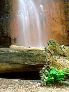 Preview wallpaper falls, logs, trees, rocks, berry creek, california