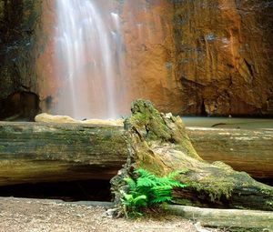 Preview wallpaper falls, logs, trees, rocks, berry creek, california