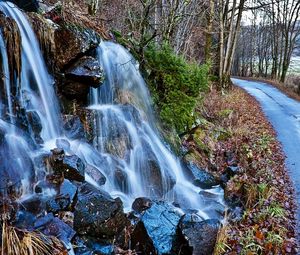 Preview wallpaper falls, road, trees, asphalt