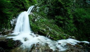 Preview wallpaper falls, rocks, mountains, greens, wood, stream, stones