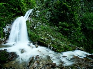 Preview wallpaper falls, rocks, mountains, greens, wood, stream, stones