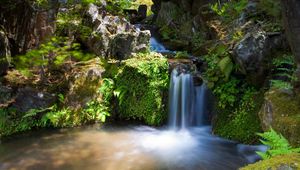 Preview wallpaper falls, rocks, vegetation, innocence