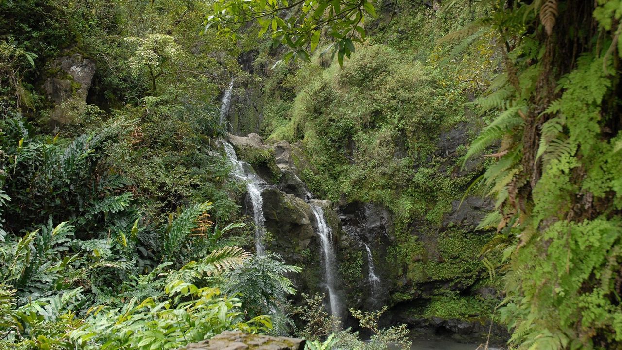 Wallpaper falls, rocks, vegetation, fern, jungle