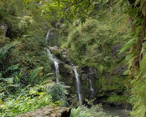 Preview wallpaper falls, rocks, vegetation, fern, jungle