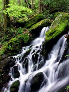 Preview wallpaper falls, stones, moss, wood, cascades, green