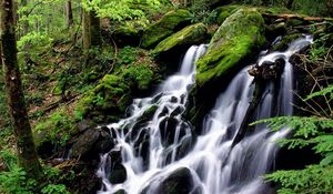 Preview wallpaper falls, stones, moss, wood, cascades, green