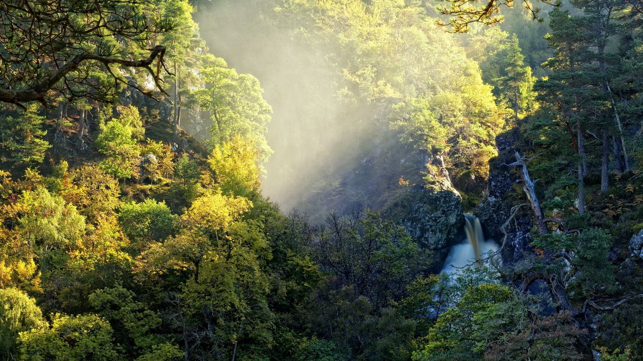 Wallpaper falls, thickets, jungle, stream, water, dirty, light, haze, evaporation, damp