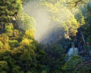 Preview wallpaper falls, thickets, jungle, stream, water, dirty, light, haze, evaporation, damp