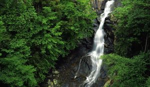 Preview wallpaper falls, wood, stones, height, trees, green, rocks