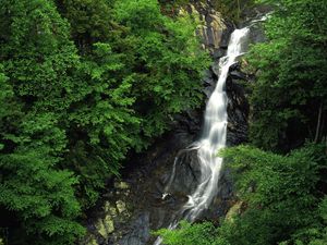 Preview wallpaper falls, wood, stones, height, trees, green, rocks