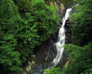 Preview wallpaper falls, wood, stones, height, trees, green, rocks